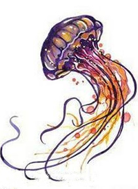 水母纹身手稿_一组47张优秀纹身水母手稿图案素材