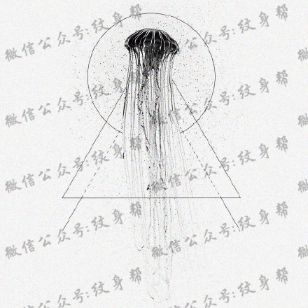 水母纹身手稿_一组47张优秀纹身水母手稿图案素材