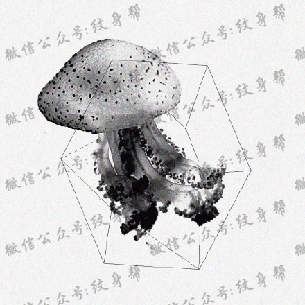 水母纹身手稿_一组47张优秀纹身水母手稿图案素材