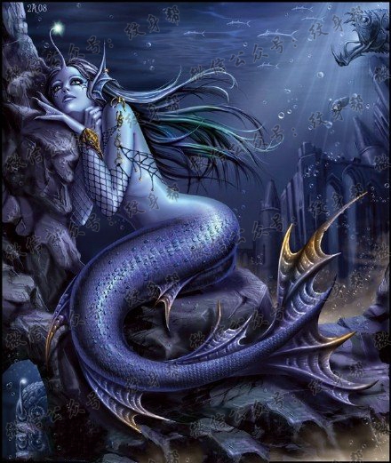 美人鱼纹身图片