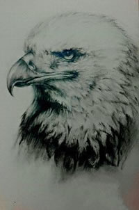 炯炯有神霸气鹰头纹身图案手稿