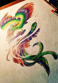 传统彩色凤凰纹身手稿图片