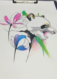 彩色熊猫线稿图片