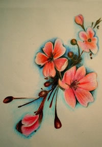 彩绘唯美小樱花手稿纹身图案