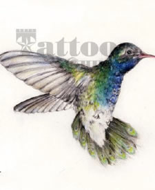 漂亮好看的蜂鸟纹身图案