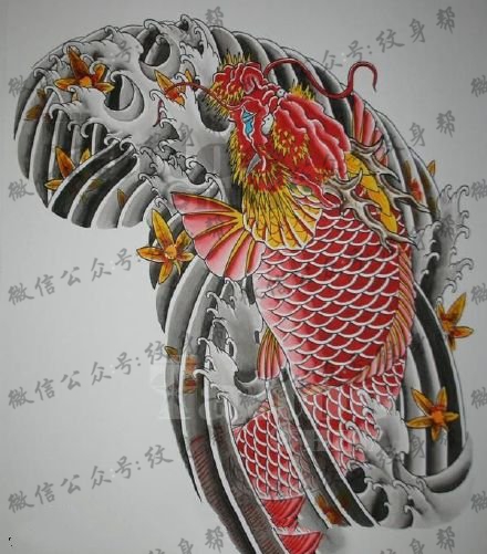 中国传统风龙鱼手稿纹身图案