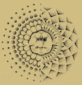 经典线条美梵花手稿纹身图案