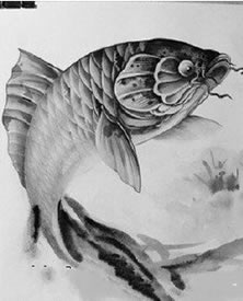 水墨锦鲤鱼手稿纹身图案