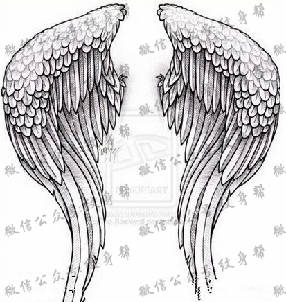 天使之翼手稿纹身图案