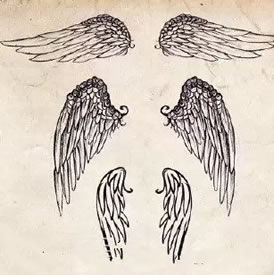 各种自由的翅膀手稿纹身图案