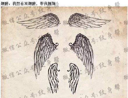 各种自由的翅膀手稿纹身图案