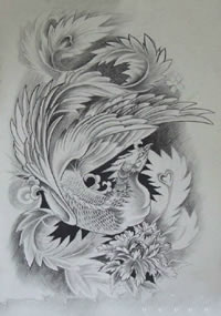 姿态华美的孔雀手稿纹身图案