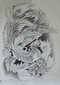 姿态华美的孔雀手稿纹身图案