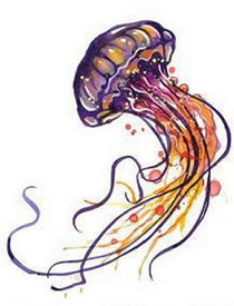 彩绘水母手稿纹身图案