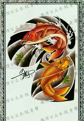 中国风格锦鲤手稿纹身图案