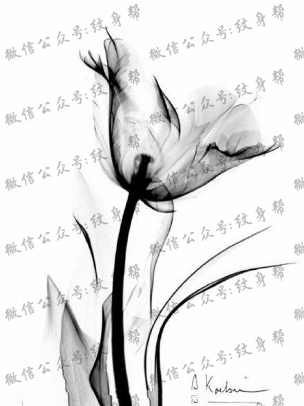 漂亮的手工郁金香花纹身图案