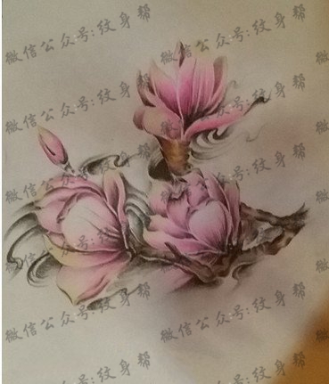 漂亮的木兰花手稿纹身图案