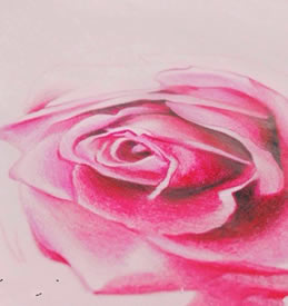 精致漂亮的玫瑰纹身图案