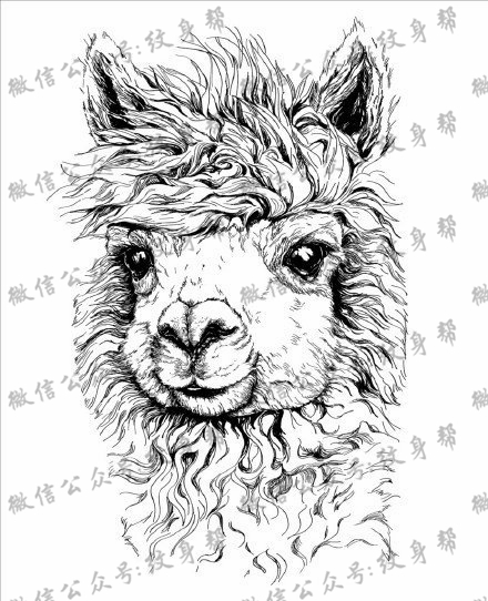 可爱的小山羊纹身图案