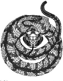 惊悚的眼镜蛇纹身图案