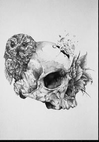 惊悚的骷髅猫头鹰纹身图案