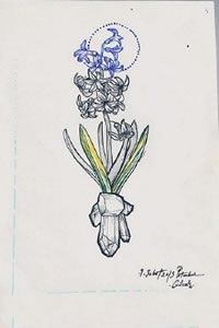 彩绘淡雅的水仙花纹身图案