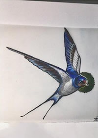 精美的小燕子手稿纹身图案