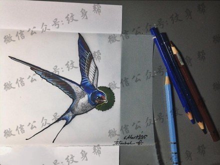 精美的小燕子手稿纹身图案