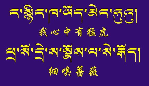 藏梵文的中文对照表_99张流行话语的藏梵文的中文对照表