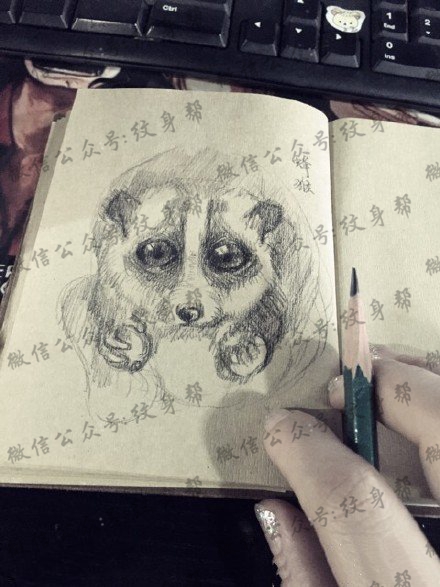 经典手绘小熊纹身图案