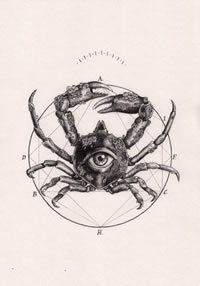 逼真写实的螃蟹眼睛纹身图案