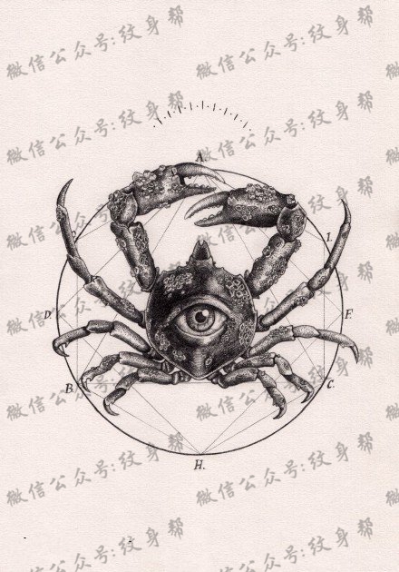 逼真写实的螃蟹眼睛纹身图案