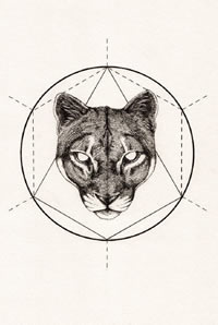 经典几何图形老虎手稿纹身图案