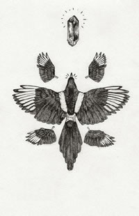 经典的乌鸦翅膀钻石纹身图案