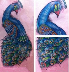 手绘美丽的孔雀纹身图案