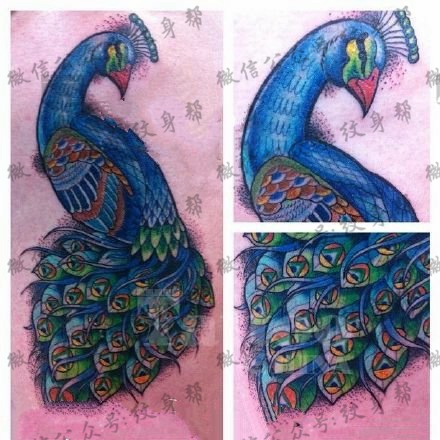 手绘美丽的孔雀纹身图案