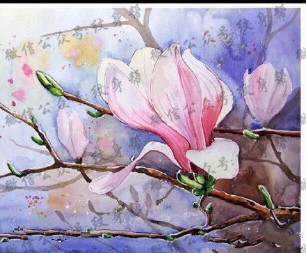 彩绘玉兰花纹身图案