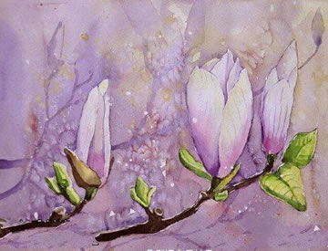 水彩白色纯洁的花卉纹身图案