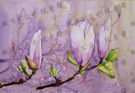 水彩白色纯洁的花卉纹身图案