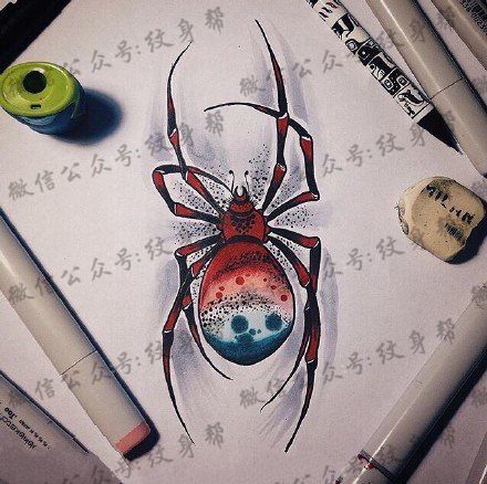 手稿立体逼真的蜘蛛纹身图案