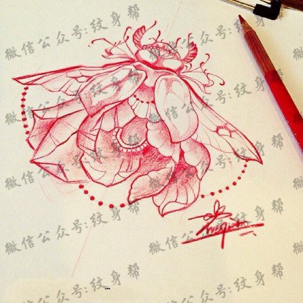 手稿漂亮的昆虫纹身图案