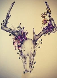 手稿骷髅羚角纹身图案