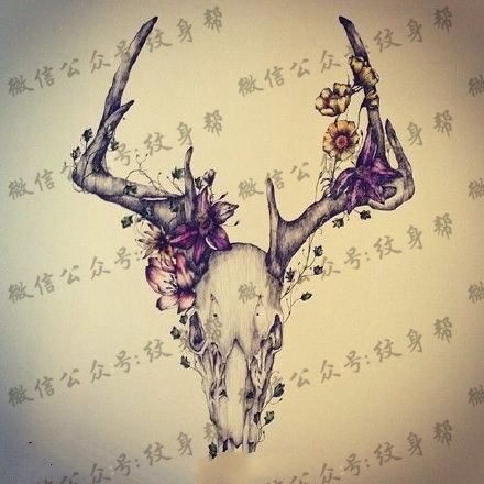 手稿骷髅羚角纹身图案