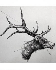 手绘羚羊角纹身图案