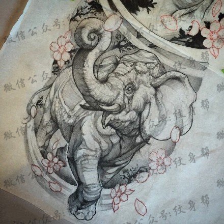 手绘逼真形象的大象纹身图案