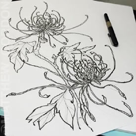 手绘简单的菊花纹身图案