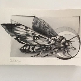 手稿素描飞蛾纹身图案