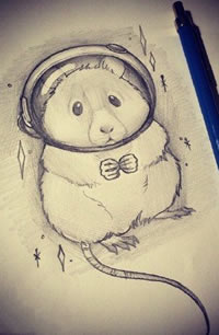 手稿素描小熊纹身图案