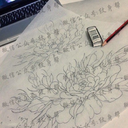 手稿素描菊花纹身图案