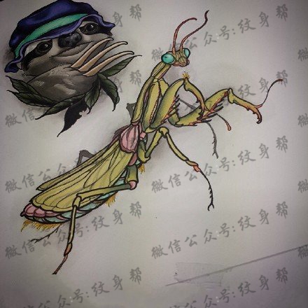 手稿小狗蚂蚱纹身图案